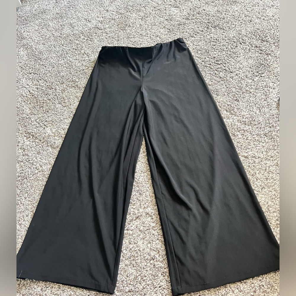Tahari lycra pant